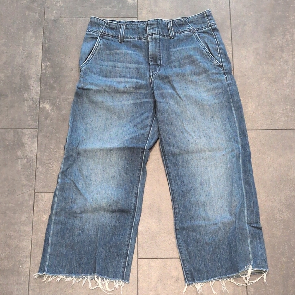 Anthropologie Pilcro Wide Leg Crop Jeans 29